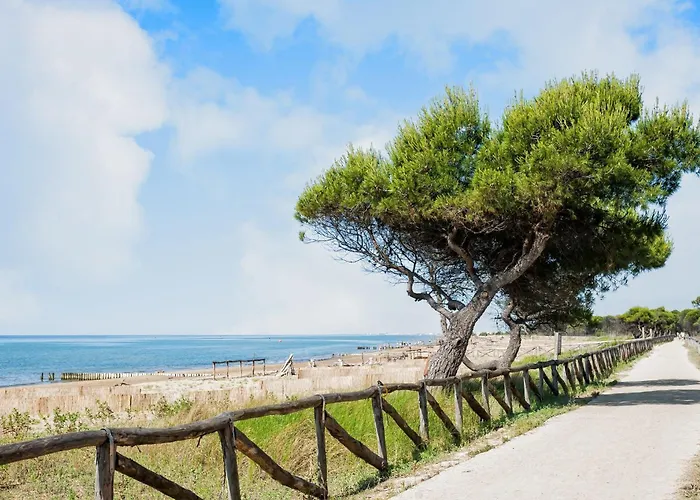 Comfy Terraced House